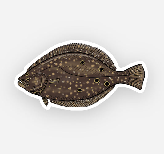 Flounder Drawing Decal