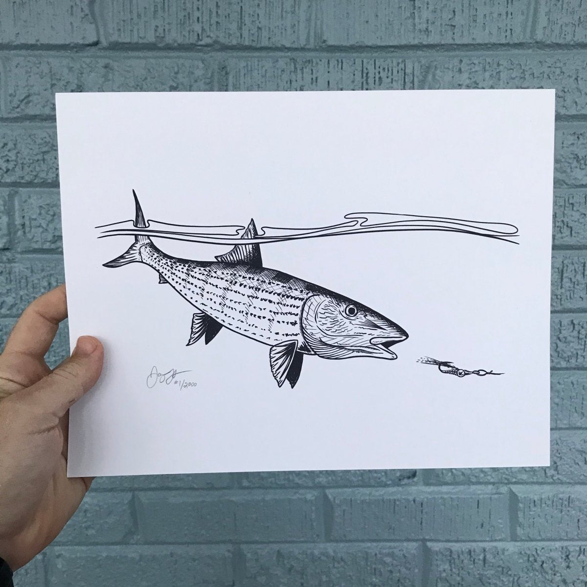 Bonefish Fly Fishing Print – Jaybo Art