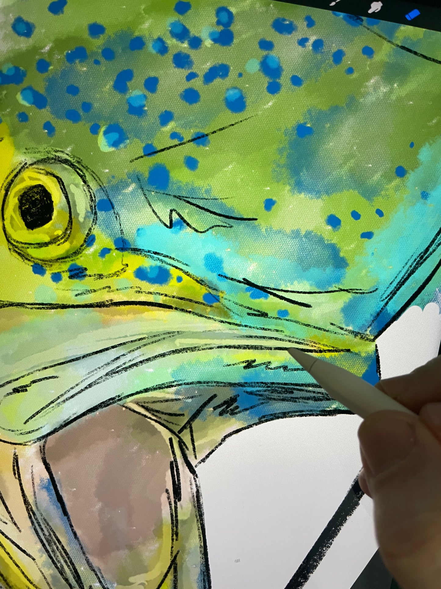 Mahi Mahi Closeup Print Ed. of 100 (Frame not included)