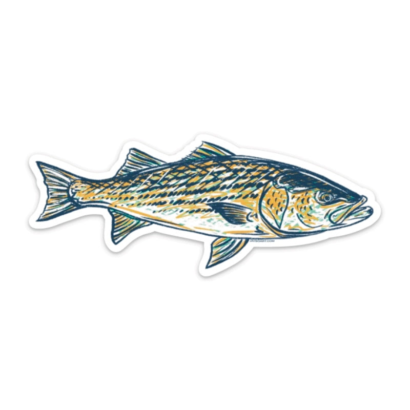 Striper/Rockfish Decal – Jaybo Art
