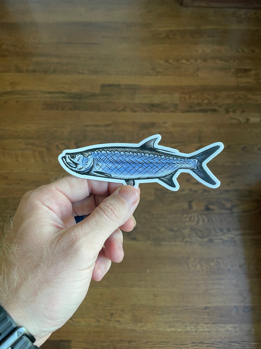 Tarpon Drawing Decal