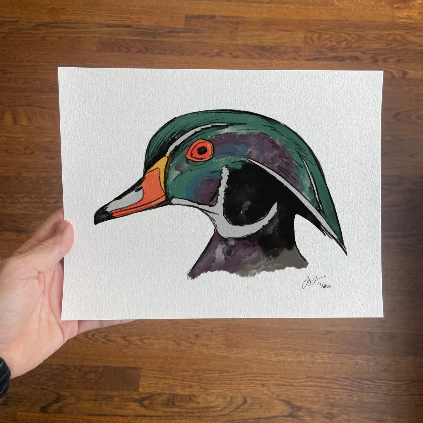 Wood Duck Head Limited Ed Print