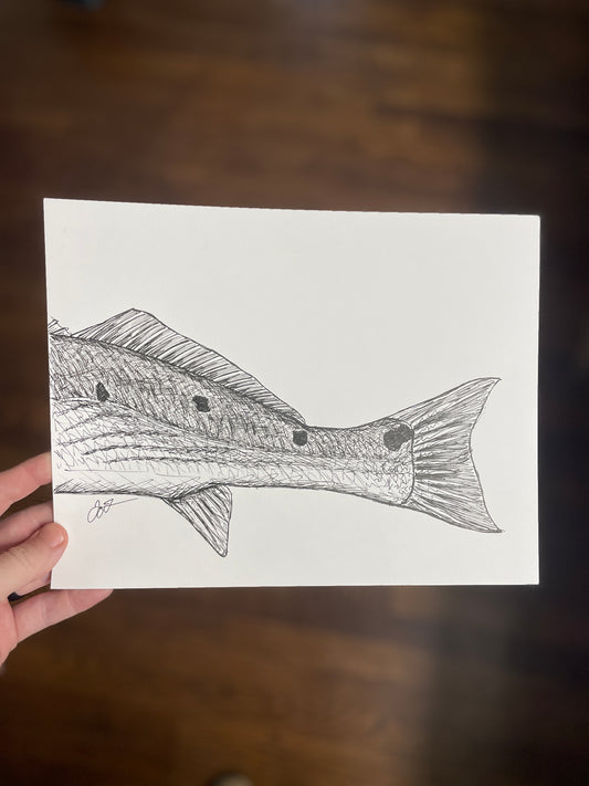 Original Redfish Tail Sketch by Jay Talbot, 8.5"x11"