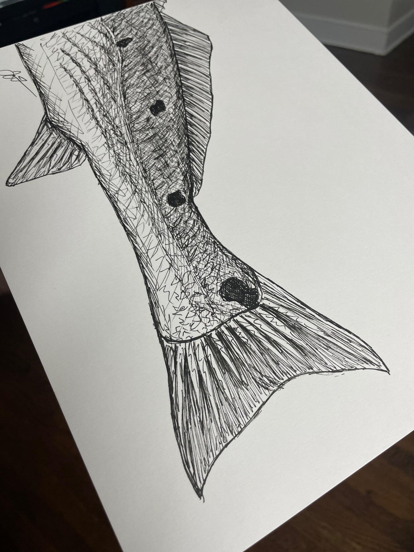 Original Redfish Tail Sketch by Jay Talbot, 8.5"x11"