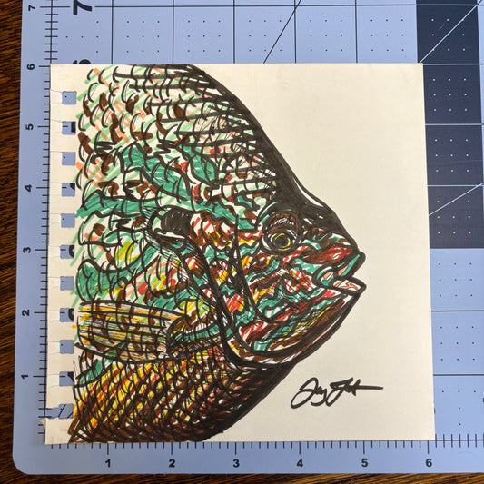 Studio Sale Bream Original