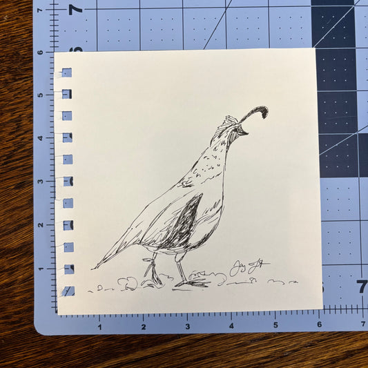 Studio Sale Quail Original