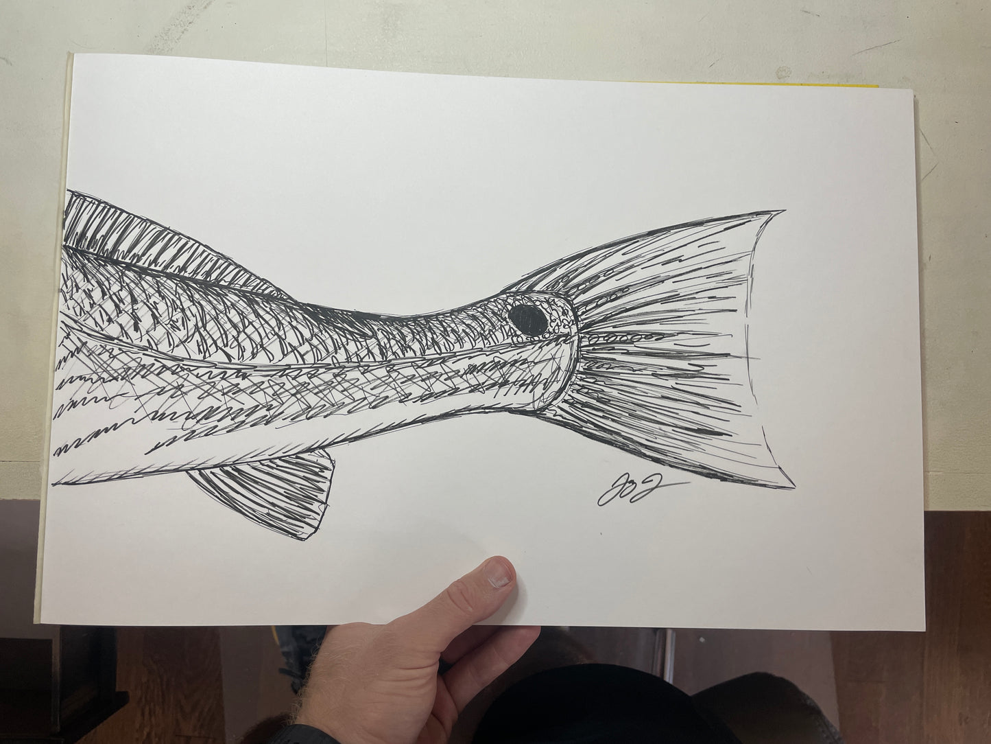 Original Redfish Tail Sketch by Jay Talbot