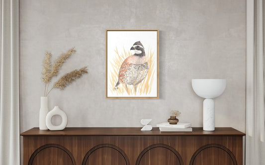 Bobwhite Quail Canvas Print - Jaybo Art