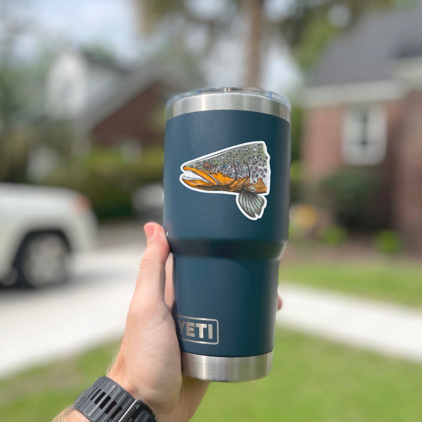 Brown trout Decal
