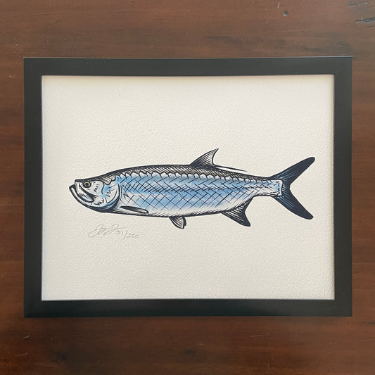 Tarpon Print (Frame not included)