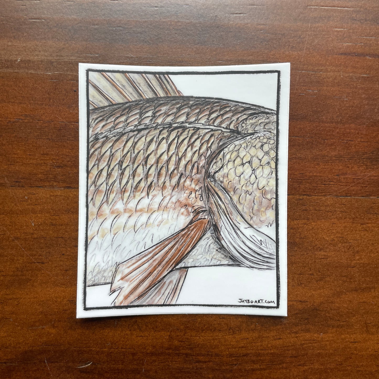 Wildlife Series: Redfish Decal