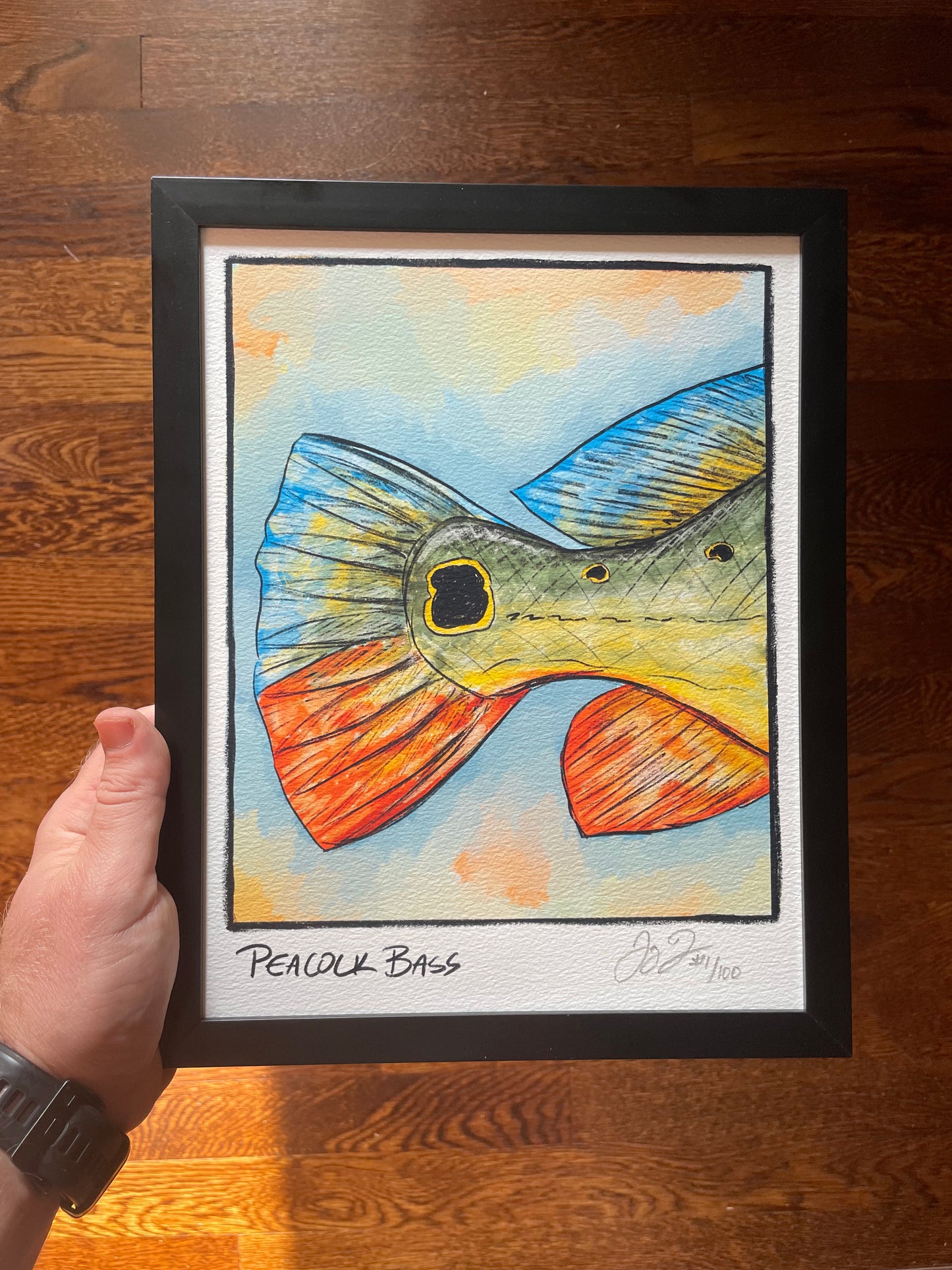 Peacock Bass Closeup Print Ed. of 100 (Frame not included)