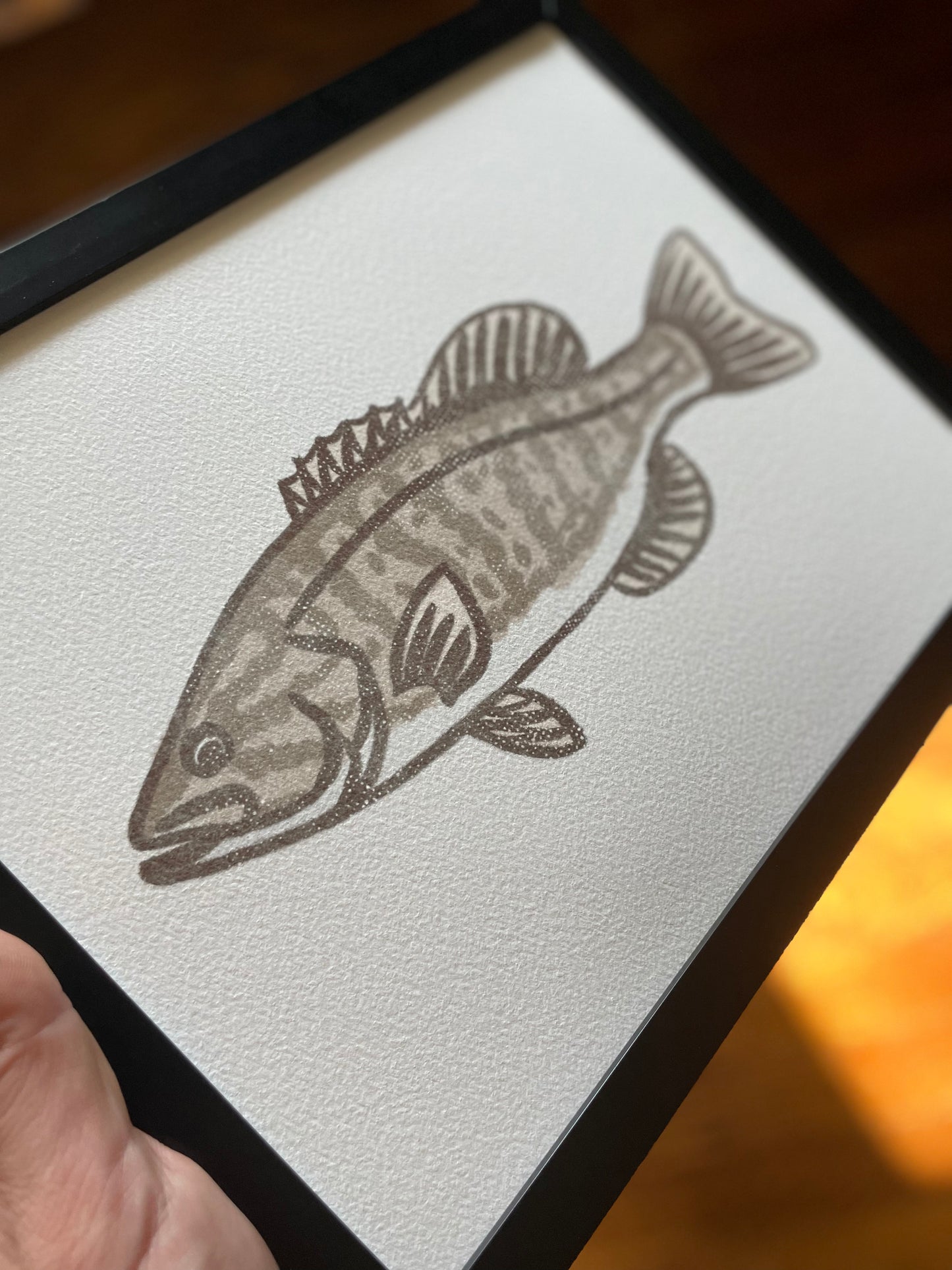 Open Edition: Vintage Smallmouth Bass Print (Frame not included)