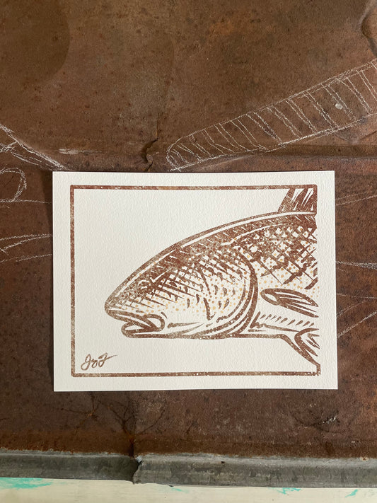 Open Edition: Redfish Head Print (Frame not included)