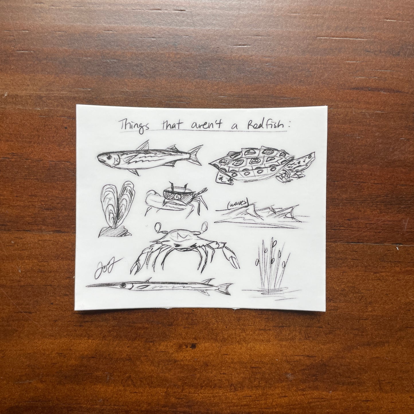 Things That Aren’t a Redfish Decal