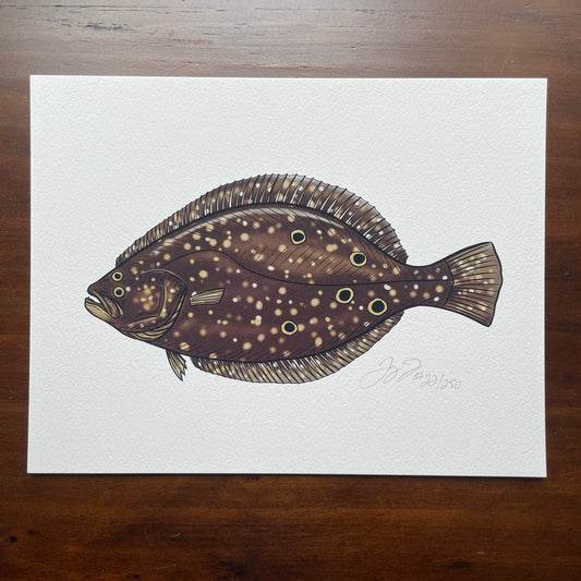 Flounder Print (Frame not included)