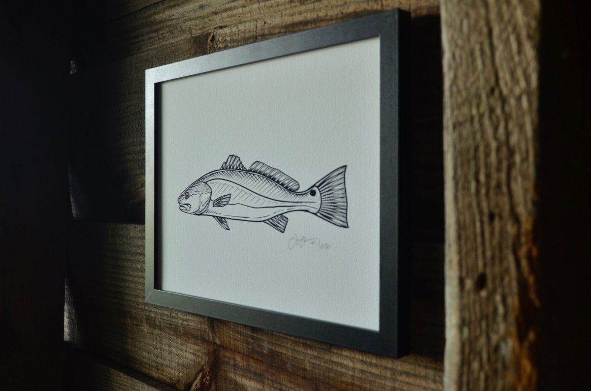 Redfish Sketch Print (Frame not included) - Jaybo Art