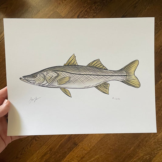 Snook Print - Jaybo Art